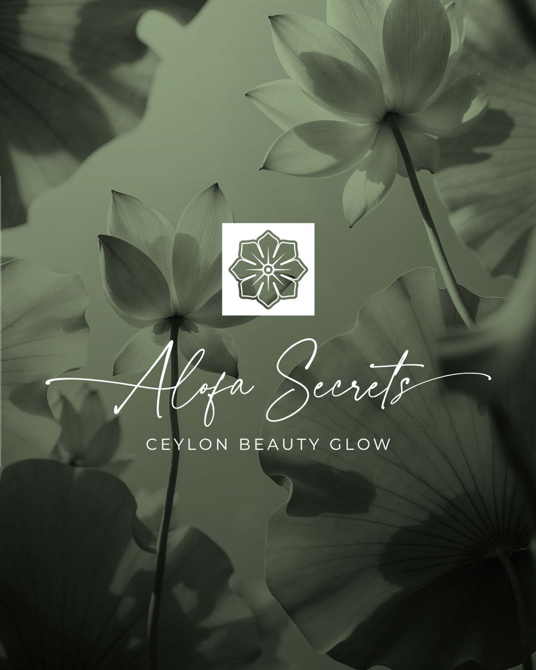 Alofa Thumbnail 2